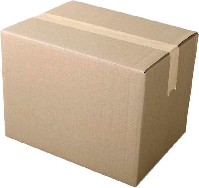 Sealed Brown Box 